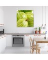 Gooseberry macro - Canvas print | FEEBY