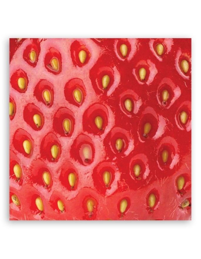 Strawberry macro - Modern Canvas painting for the kitchen | FEEBY