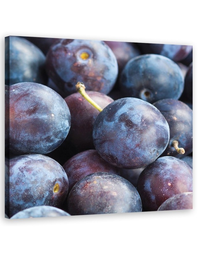 Plum macro - Painting Canvas  for the kitchen. Buy now|| FEEBY