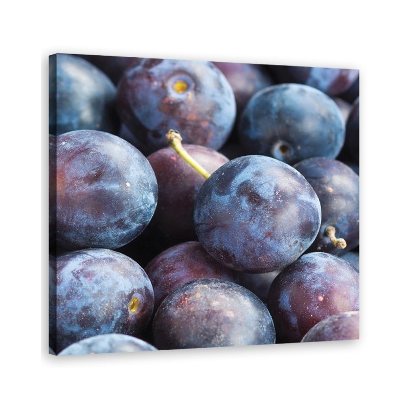 Plum macro - Painting Canvas  for the kitchen. Buy now|| FEEBY