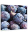 Plum macro - Painting Canvas  for the kitchen. Buy now|| FEEBY