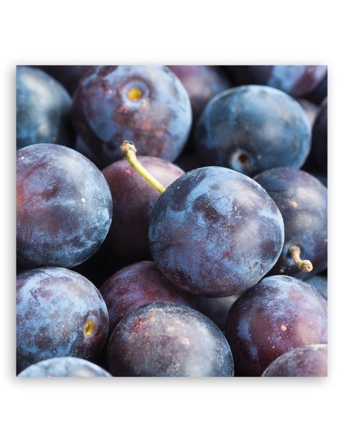 Plum macro - Painting Canvas  for the kitchen. Buy now|| FEEBY