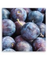 Plum macro - Painting Canvas  for the kitchen. Buy now|| FEEBY