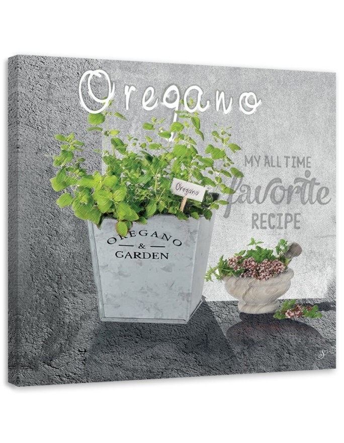 Canvas print - Oregano kitchen spices. High quality  | FEEBY