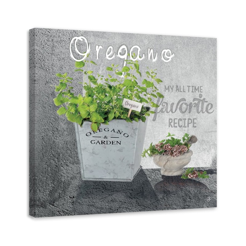 Canvas print - Oregano kitchen spices. High quality  | FEEBY