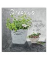 Canvas print - Oregano kitchen spices. High quality  | FEEBY