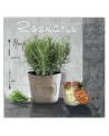 Modern Canvas painting for the kitchen - Rosemary spices | FEEBY