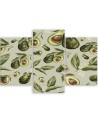 Canvas print for the kitchen - Avocado fruit | FEEBY