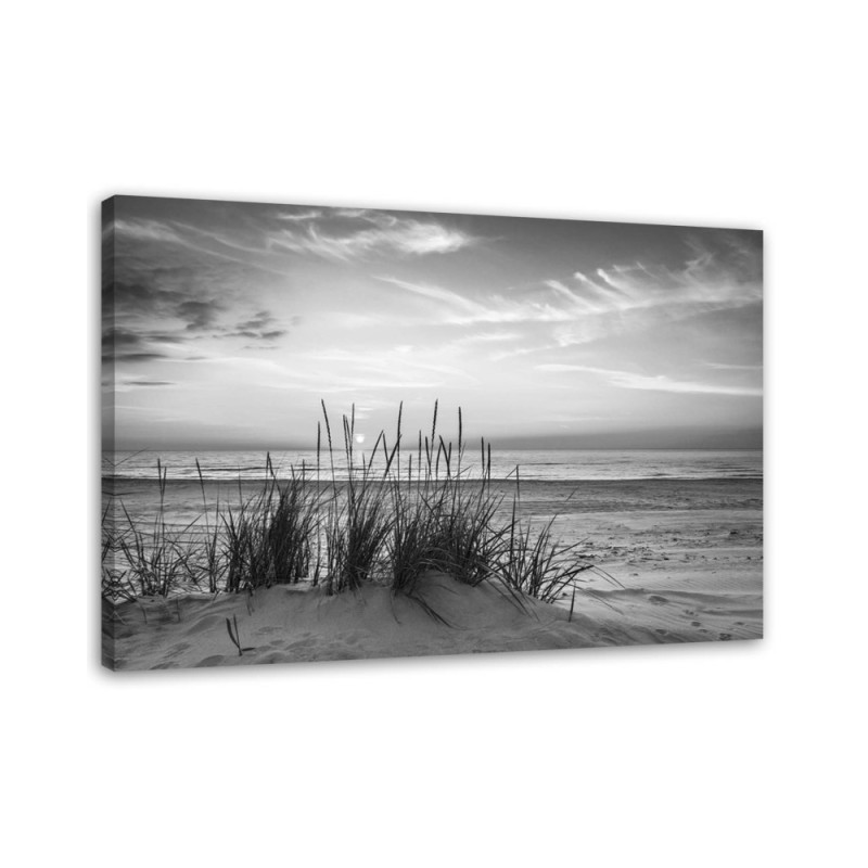 Canvas prints for bedroom - Beach sea dunes grasses black and white | FEEBY