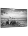 Canvas prints for bedroom - Beach sea dunes grasses black and white | FEEBY