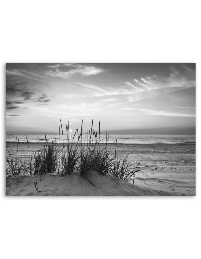 Canvas prints for bedroom - Beach sea dunes grasses black and white | FEEBY