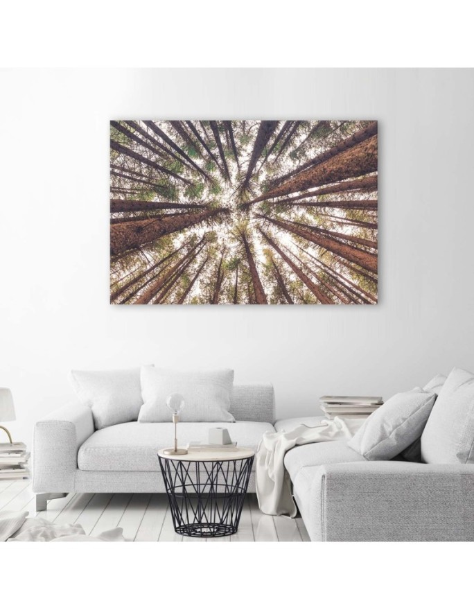 Canvas prints for living room - Forest trees high nature | FEEBY