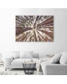 Canvas prints for living room - Forest trees high nature | FEEBY
