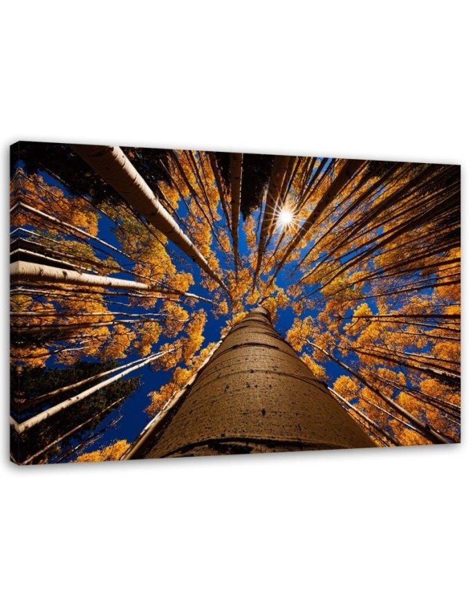 Forest treetops nature - Canvas painting | FEEBY