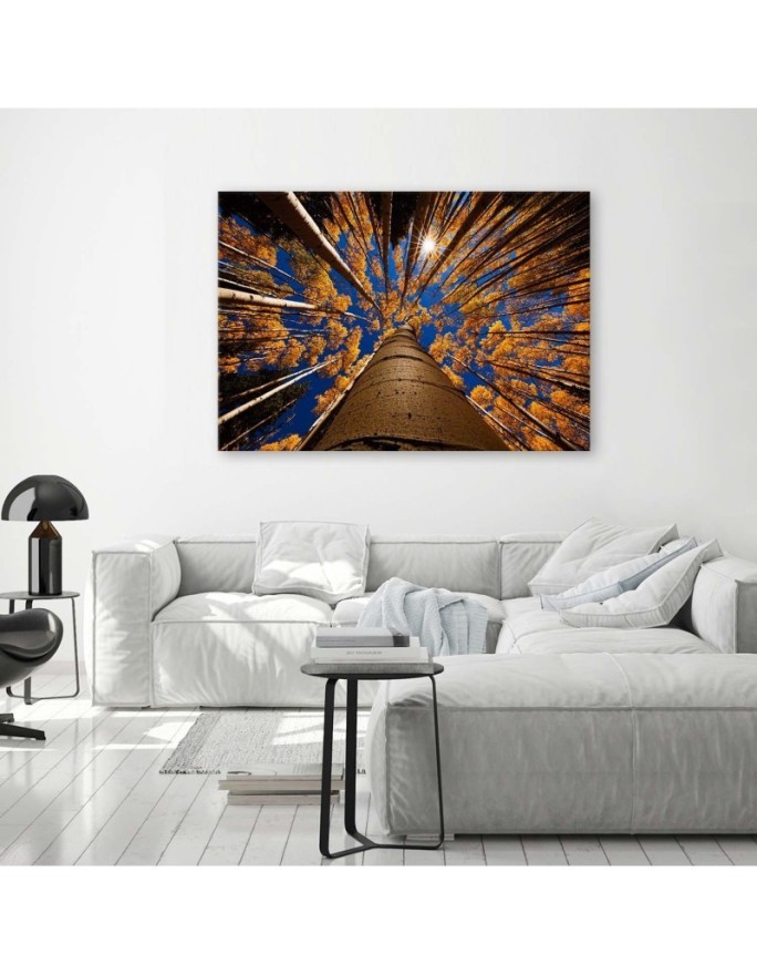 Forest treetops nature - Canvas painting | FEEBY