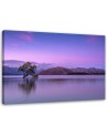 Tree on the lake - Modern Canvas painting for bedroom | FEEBY