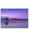 Tree on the lake - Modern Canvas painting for bedroom | FEEBY