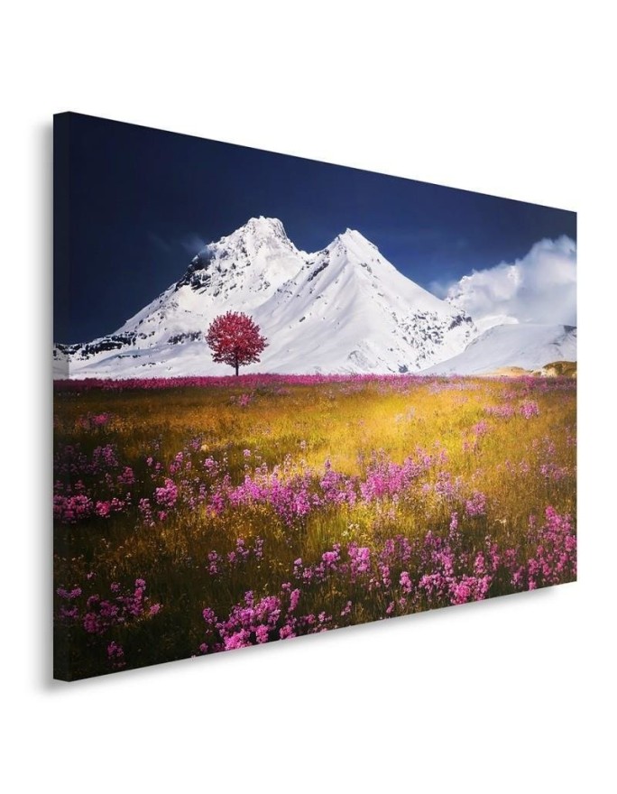 Canvas print modern - Alps mountains meadow | FEEBY