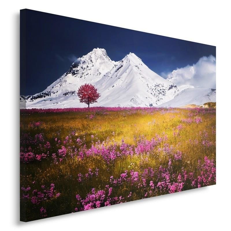 Canvas print modern - Alps mountains meadow | FEEBY