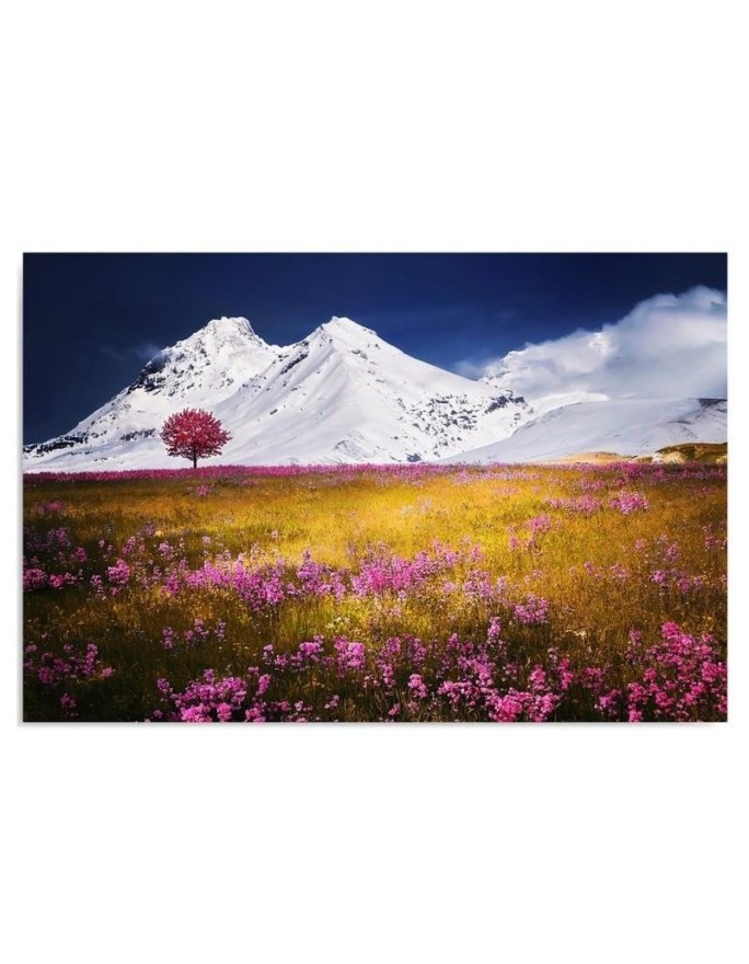 Canvas print modern - Alps mountains meadow | FEEBY