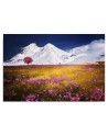 Canvas print modern - Alps mountains meadow | FEEBY
