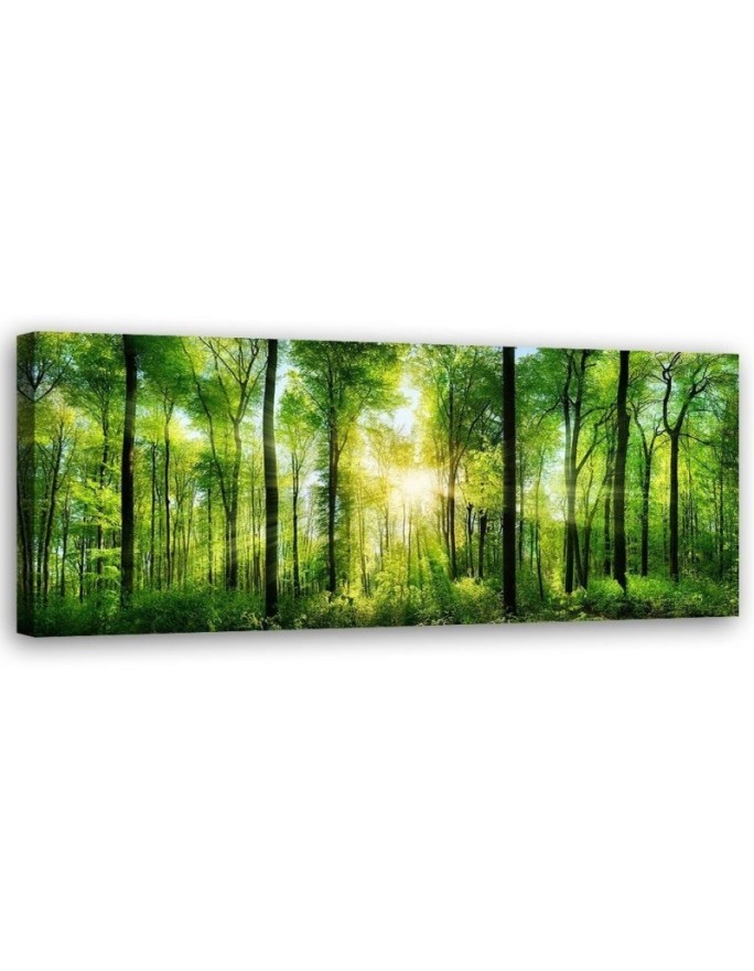 Canvas prints for bedroom - Panoramic Sunshine in the green forest  | FEEBY