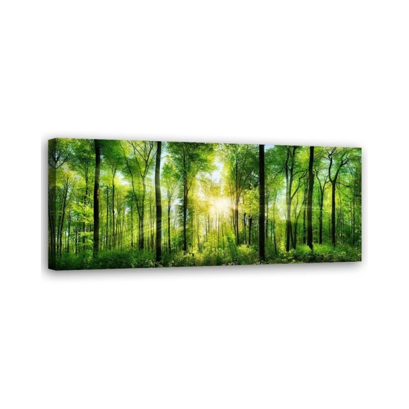Canvas prints for bedroom - Panoramic Sunshine in the green forest  | FEEBY