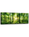 Canvas prints for bedroom - Panoramic Sunshine in the green forest  | FEEBY