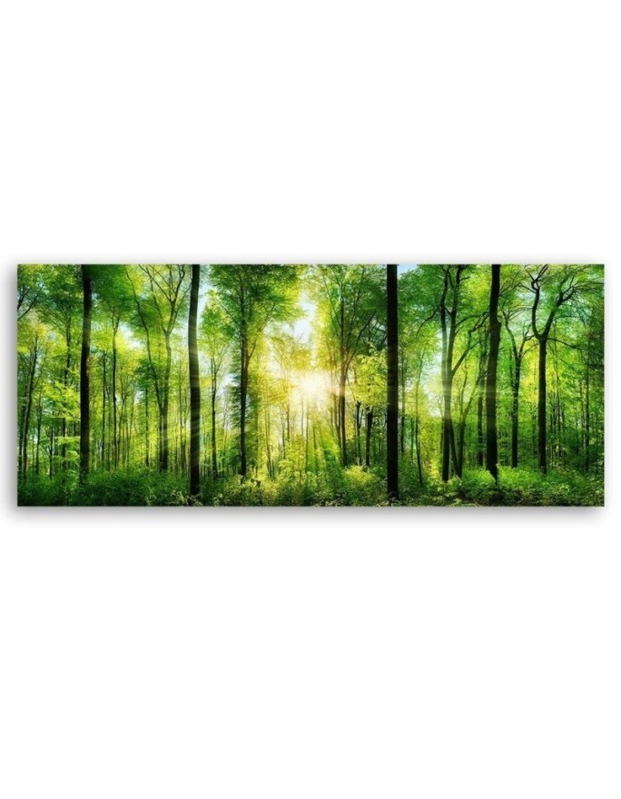 Canvas prints for bedroom - Panoramic Sunshine in the green forest  | FEEBY
