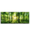 Canvas prints for bedroom - Panoramic Sunshine in the green forest  | FEEBY