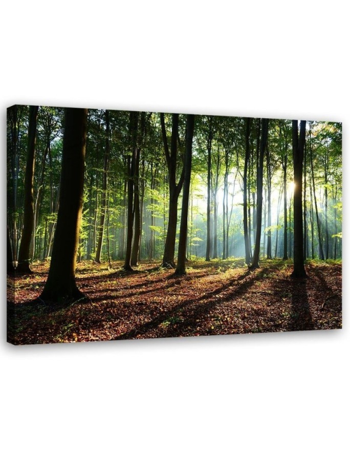 Modern Canvas painting for bedroom - Forest at sunrise | FEEBY
