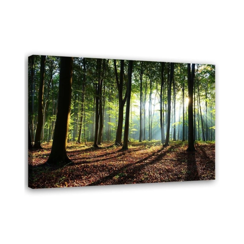 Modern Canvas painting for bedroom - Forest at sunrise | FEEBY