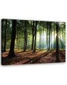 Modern Canvas painting for bedroom - Forest at sunrise | FEEBY
