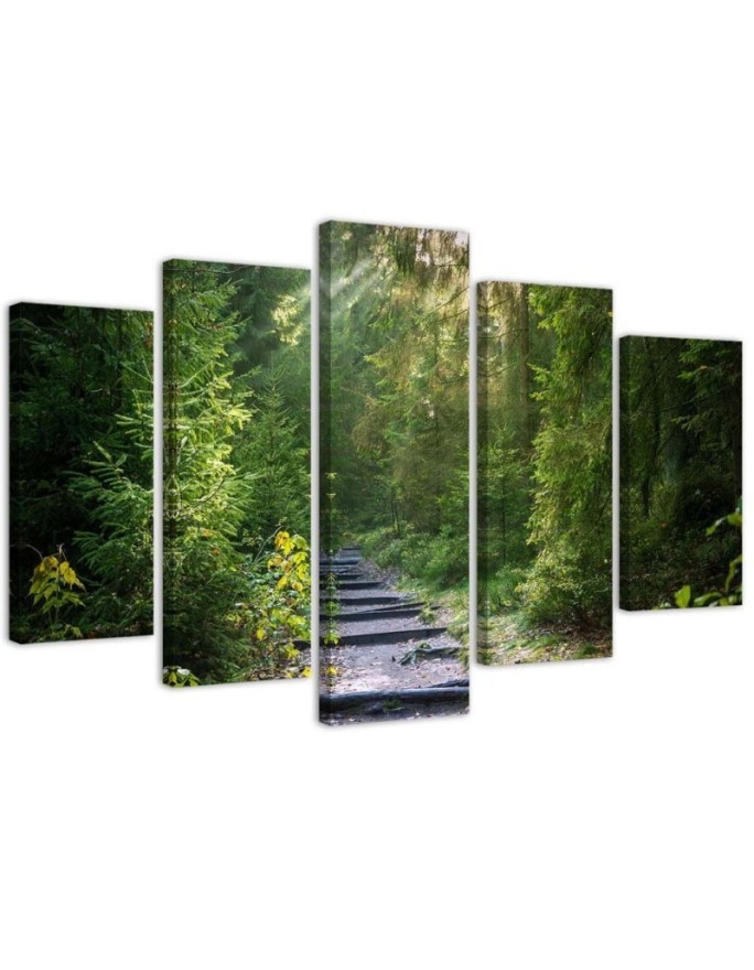 Multipart picture - Picture of a path in a green forest | FEEBY