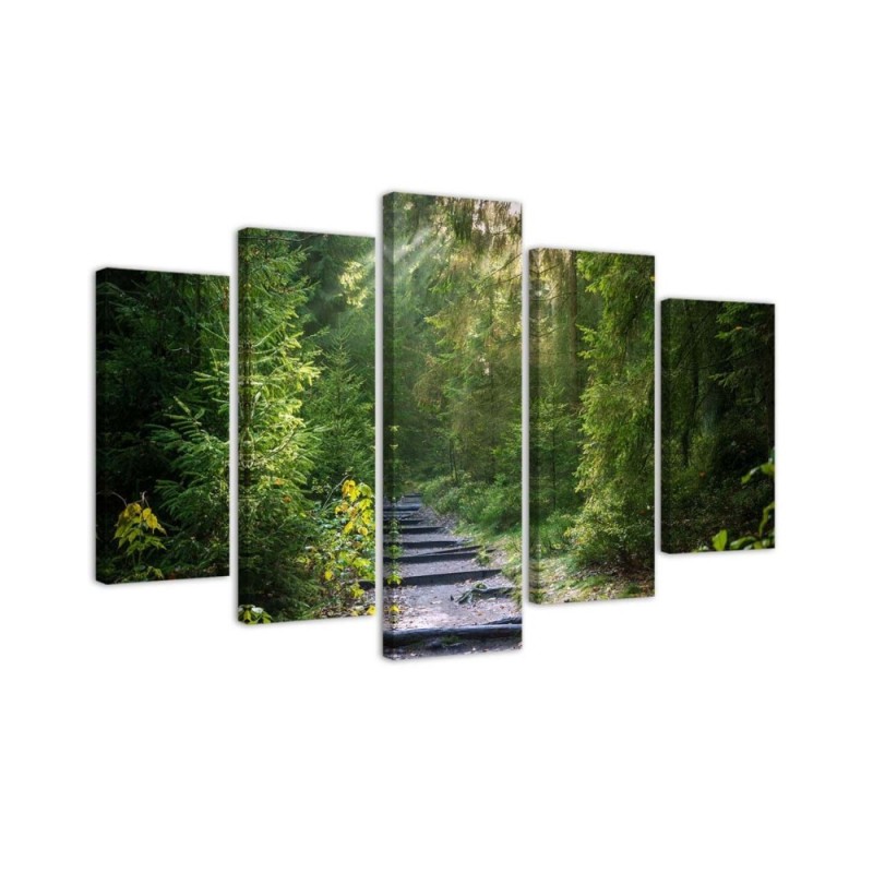 Multipart picture - Picture of a path in a green forest | FEEBY