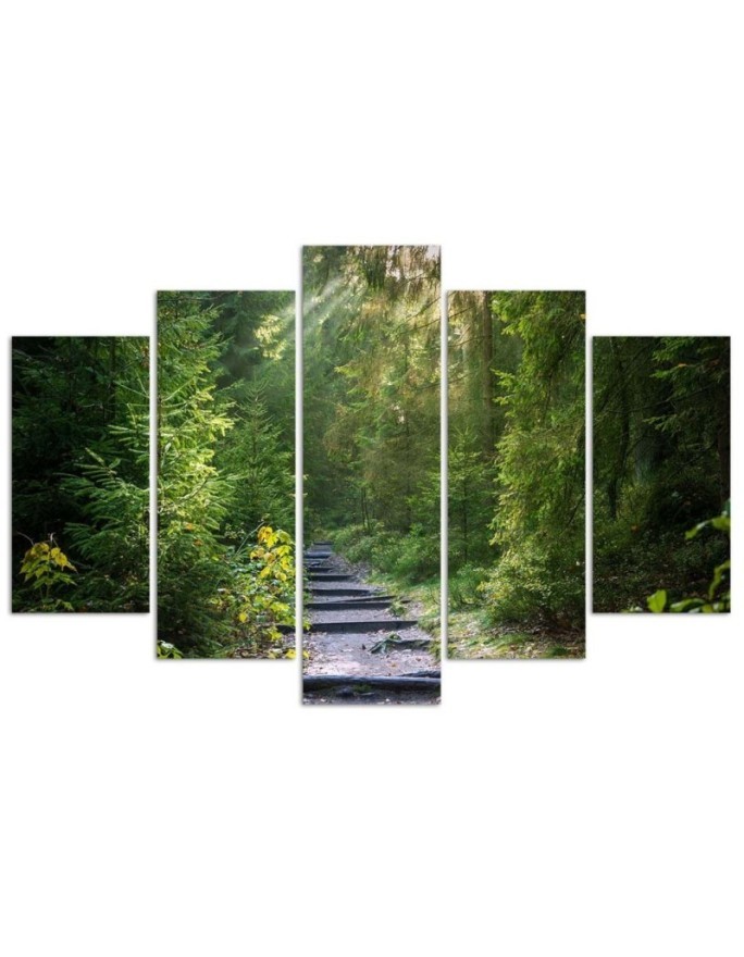 Multipart picture - Picture of a path in a green forest | FEEBY