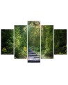 Multipart picture - Picture of a path in a green forest | FEEBY