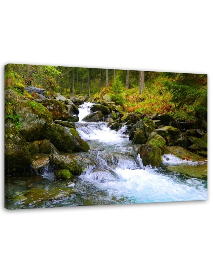 Canvas prints for living room - Mountain stream in green | FEEBY