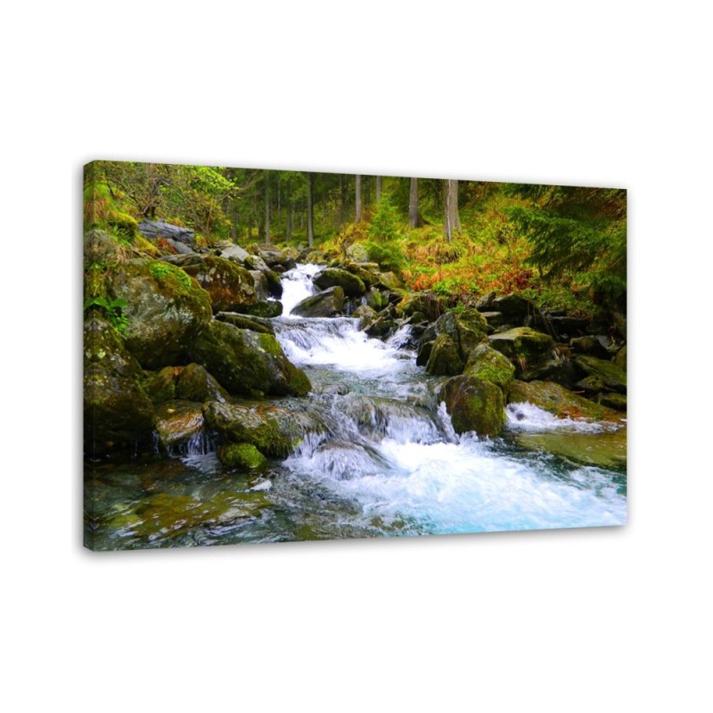 Canvas prints for living room - Mountain stream in green | FEEBY