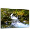 Canvas prints for living room - Mountain stream in green | FEEBY