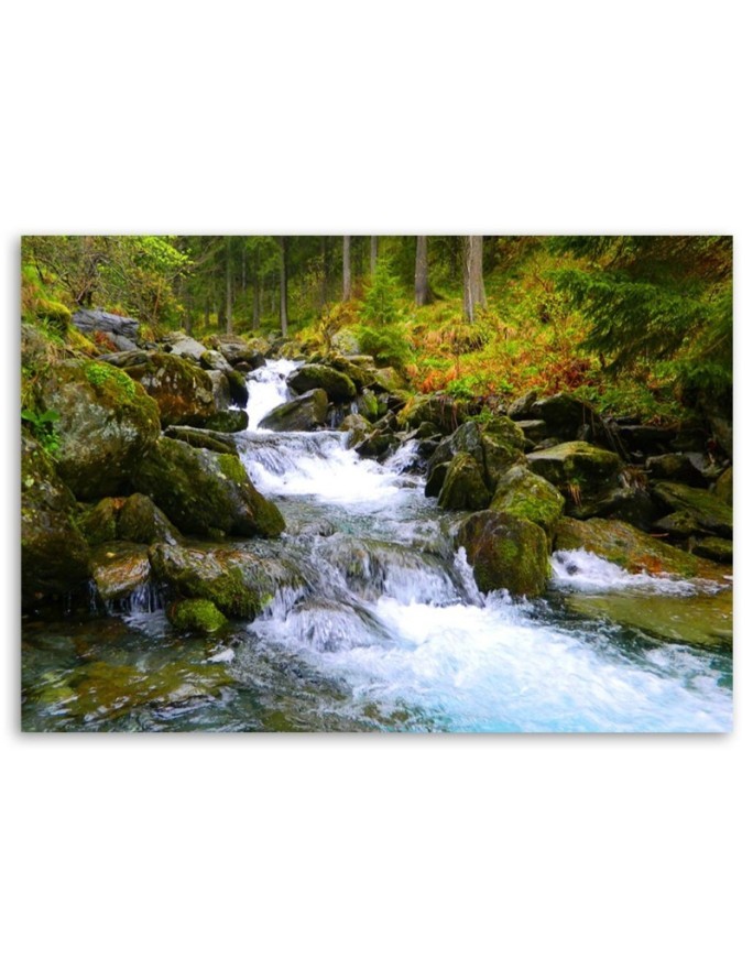 Canvas prints for living room - Mountain stream in green | FEEBY