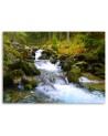 Canvas prints for living room - Mountain stream in green | FEEBY