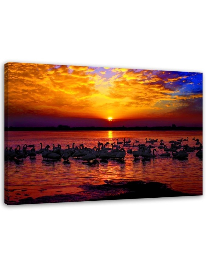 Swans on the lake shore - Canvas painting | FEEBY