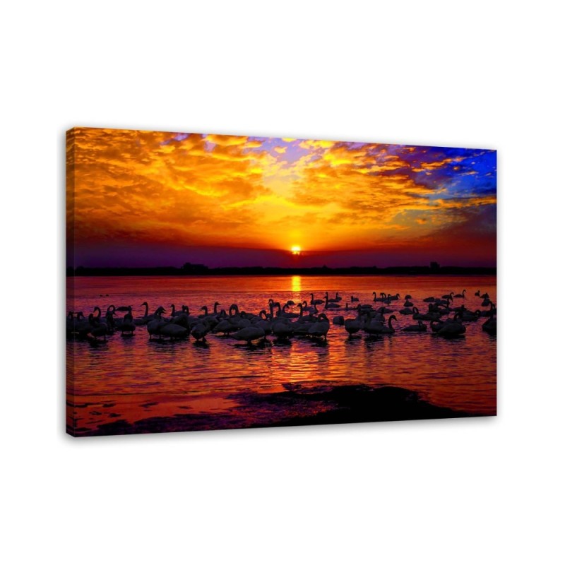 Swans on the lake shore - Canvas painting | FEEBY