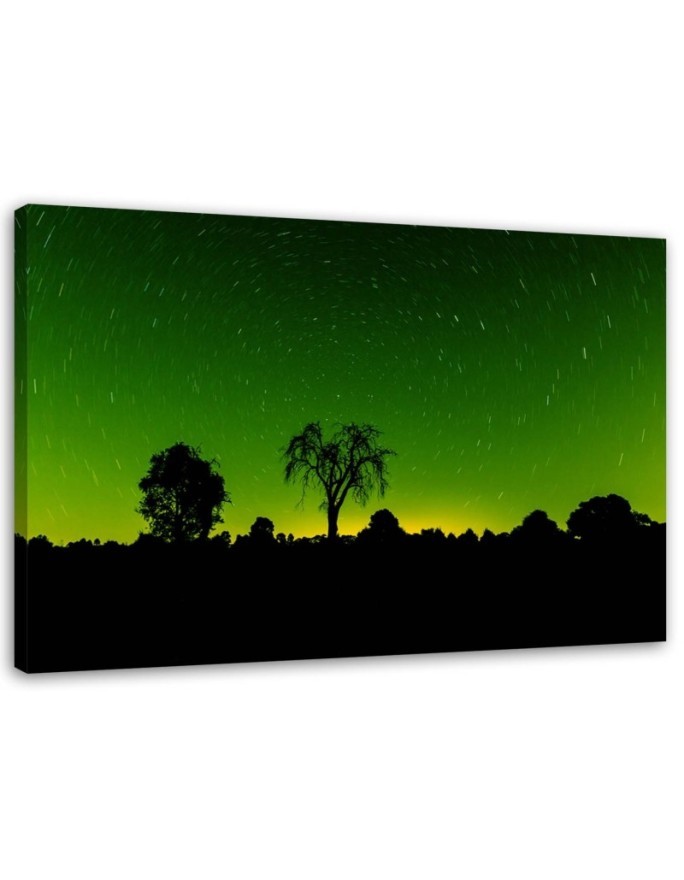 Aurora Borealis - Canvas print modern | FEEBY