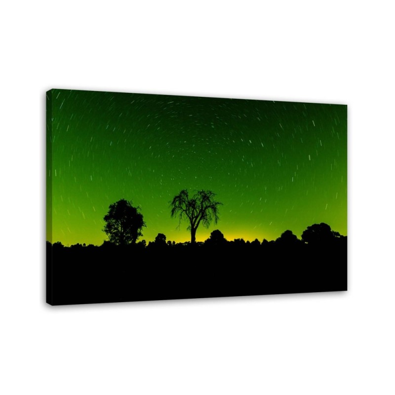 Aurora Borealis - Canvas print modern | FEEBY
