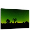 Aurora Borealis - Canvas print modern | FEEBY