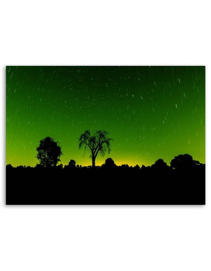 Aurora Borealis - Canvas print modern | FEEBY