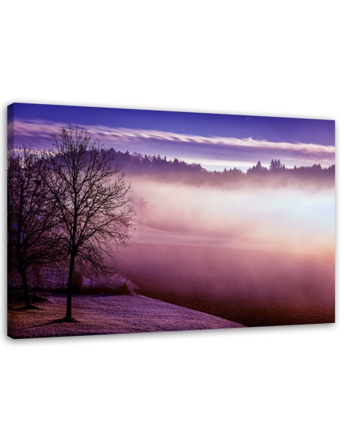 Canvas print Fog over the lake
