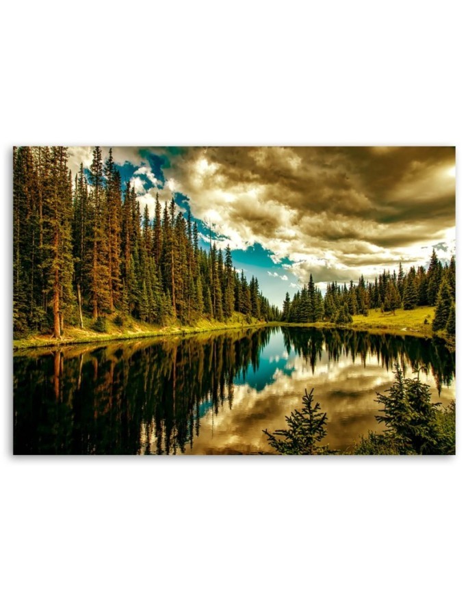 Forest by a mountain lake - Pictures on Canvas for the living room | FEEBY